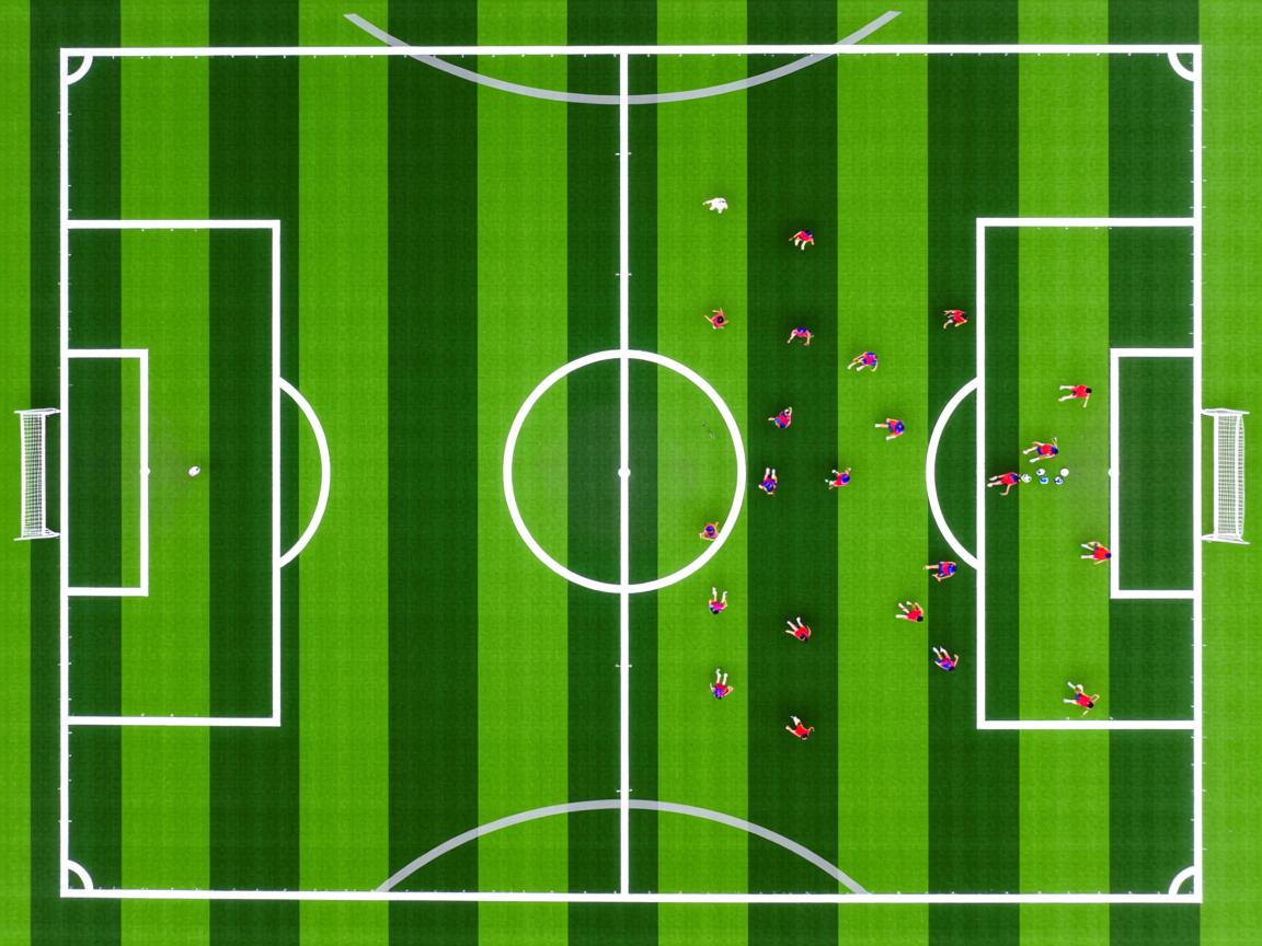 九游娱乐入口-国家队技战术培训方法老化，国家技巧队  第2张